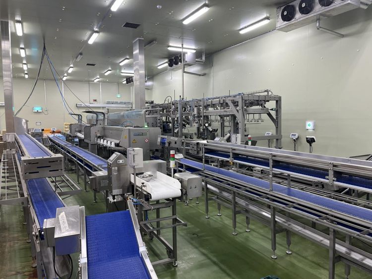 Foodmate Cut-up and deboning line