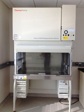 Forma Scientific 1284 4-foot Class II Type A/B3 Biological Safety Cabinet with Stand