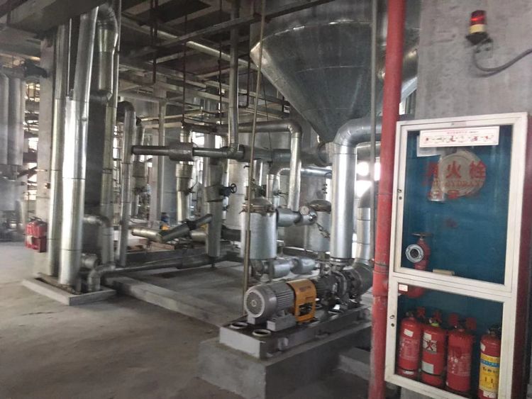 2 Complete PA-6 polymerization plants