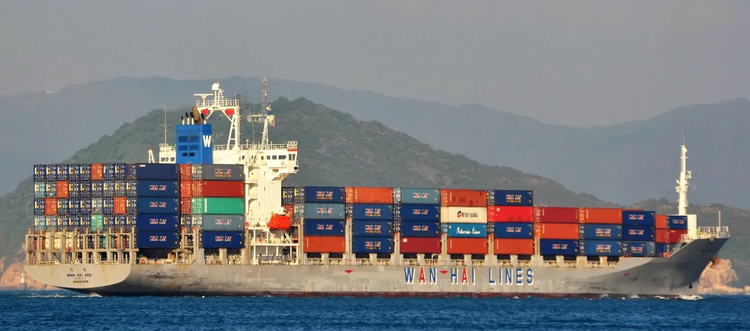 Shin Kurushima NZ SHANGHAI