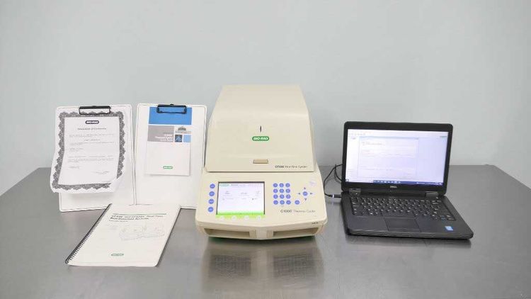 Biorad CFX96 Real Time PCR System