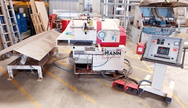 Raimann KM 310 BV EDGER 1 FIXED BLADE 1 MOBILE BLADE DIGITAL POSITIONING WITH SEPARATOR & RETURN OFFERED WITH NEW DRIVE CHAIN MAT & SLIDES