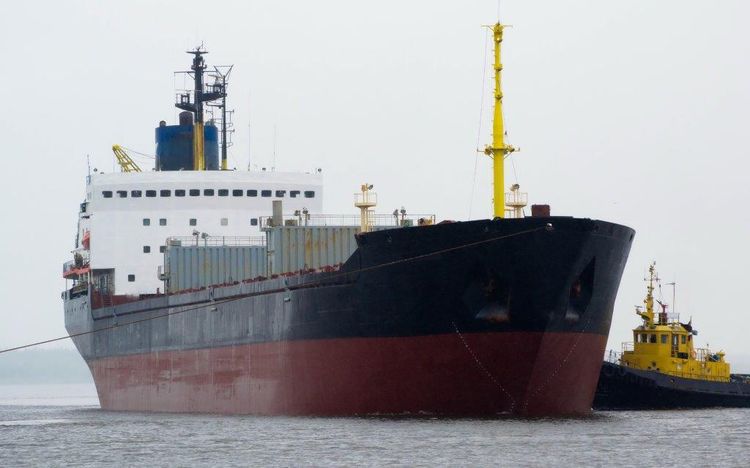 238-539 238. Arctic bulker - container ship DWT 23 000 t.