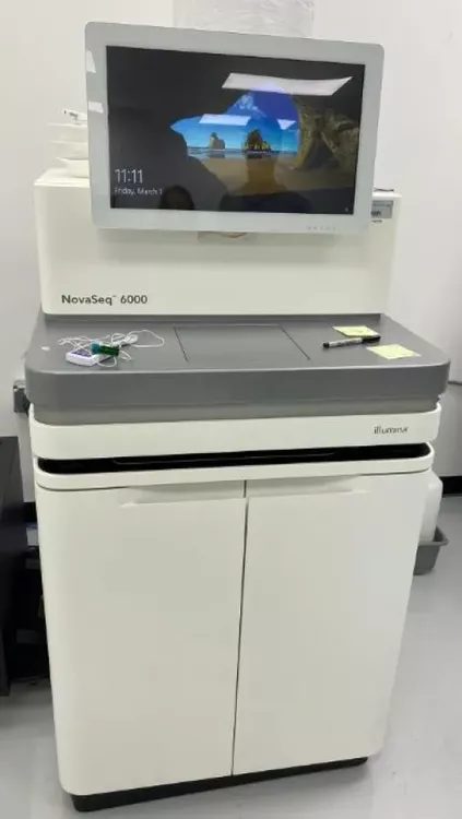 Illumina NovaSeq 6000, DNA Sequencing System