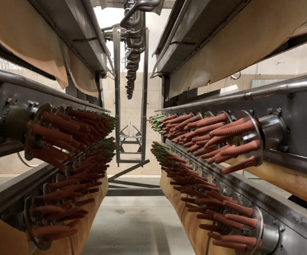 COMPLETE POULTRY PROCESSING PLANT