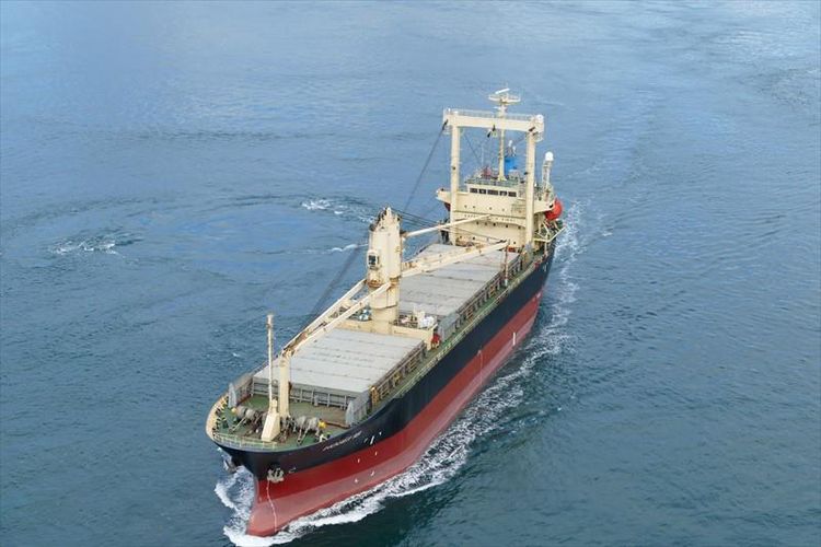 Nishii TWEEN DECK GENERAL CARGO VESSEL (CARGO HOLDS ARE BOX SHAPE) ABT 11,400 MTDW