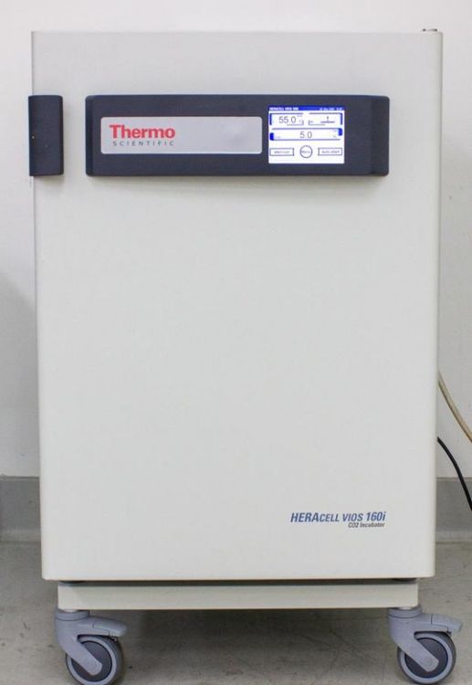 Thermo HERAcell Vios 160i CO2 Incubator