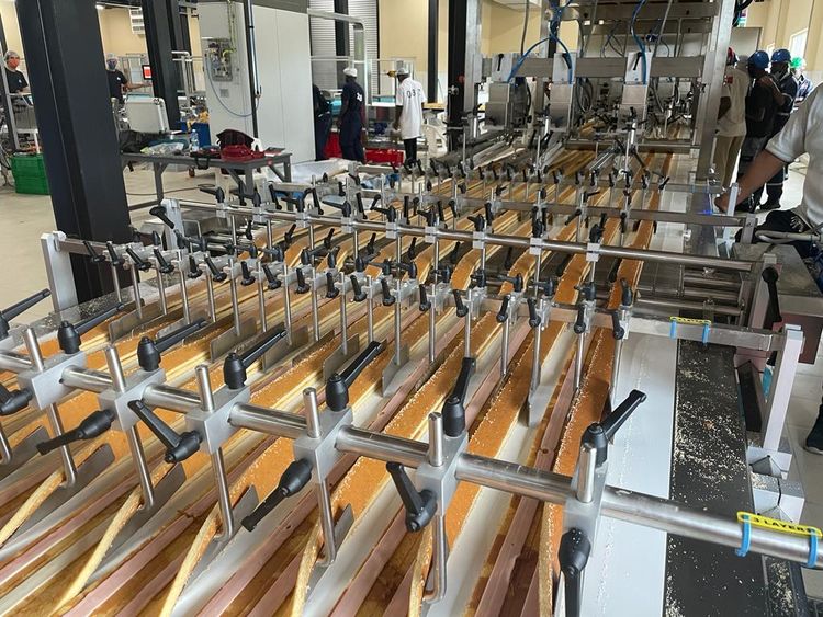 PFM, Polin Swiss roll Layer cake line .000 -76.000/h