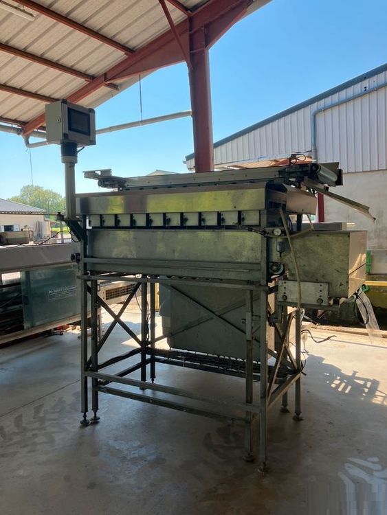 Stauss Multihead Weigher
