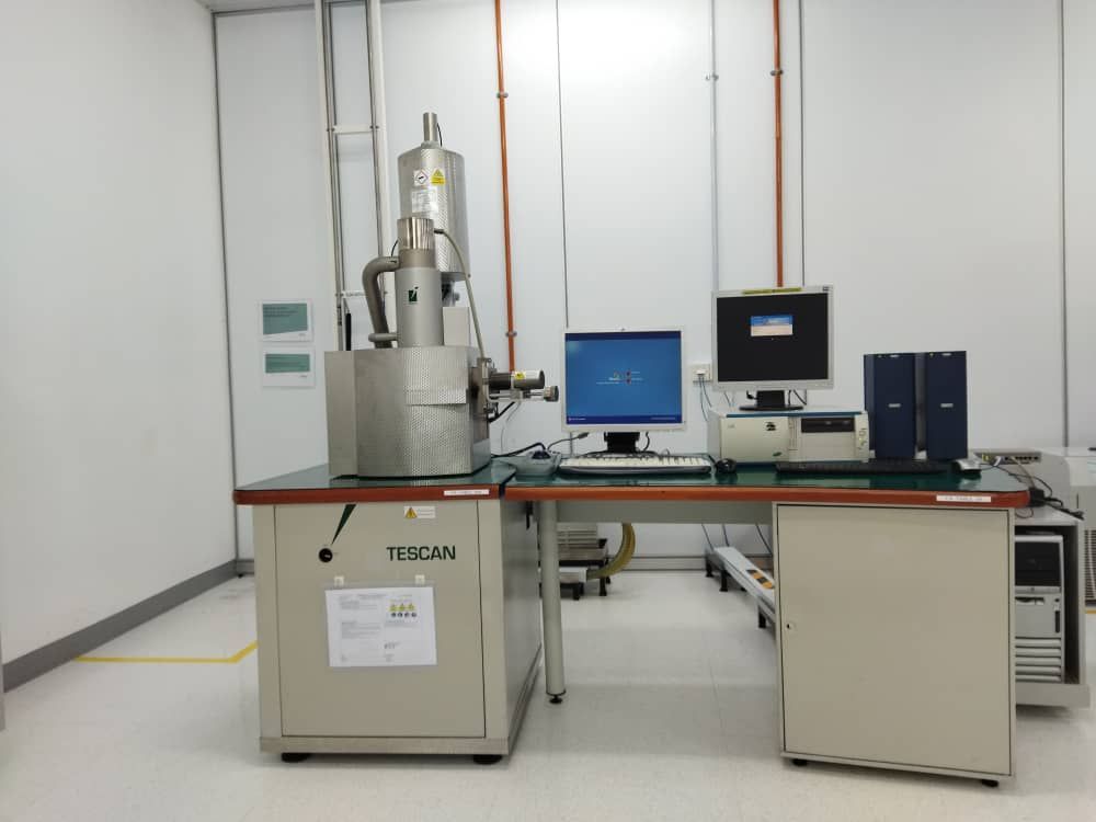 TS5136XM Scanning Electron Microscope