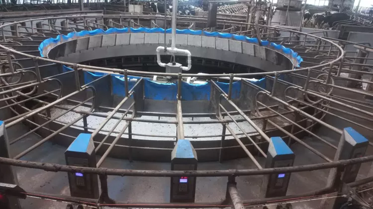 Boumatic  36 cow rotary milking parlour