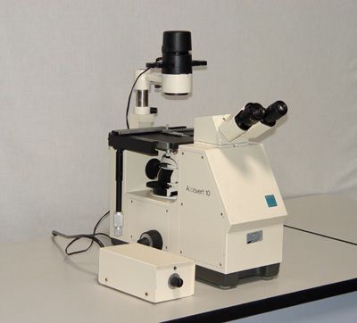 ZEISS AXIOVERT-10 Biology Inverted Microscope
