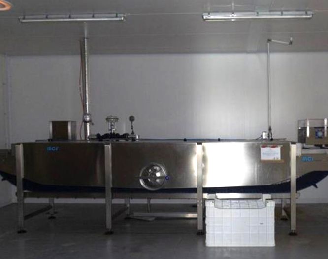 Immersion Tunnel Cooker