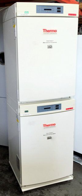 Thermo 3130