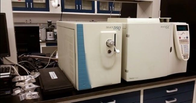 Thermo DSQ Mass Spectrometer