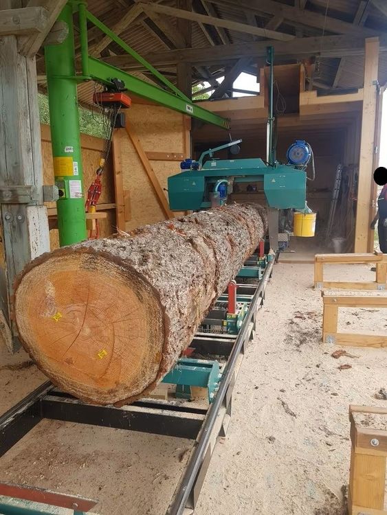 Winter Complete log band sawmill with double edger and wood excavator