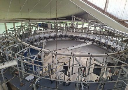 Boumatic  36 stands  inside rotary milking parlour