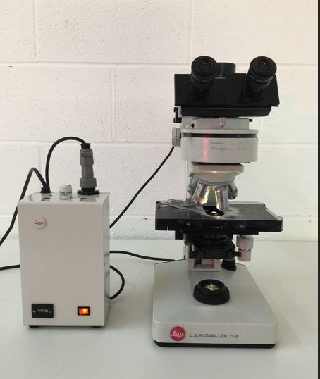 Leitz Laborlux 12 Microscope with UV Lightbox