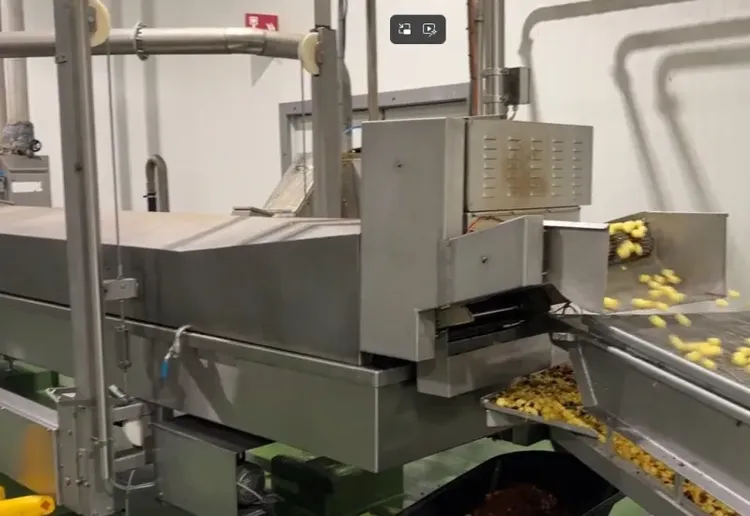 Meyn FRU/TH 600/7000 Fryer