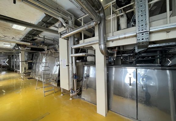 Pavan Pavan short-cut pasta line 400 kg/h