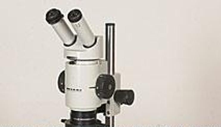 Wild M8 Stereozoom