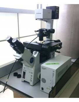 Olympus IX81F microscope