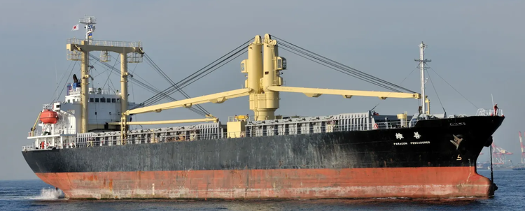 Watanabe Shipbuilding AH EVER ABT 12126 DWT ON 8.71 M DRAFT