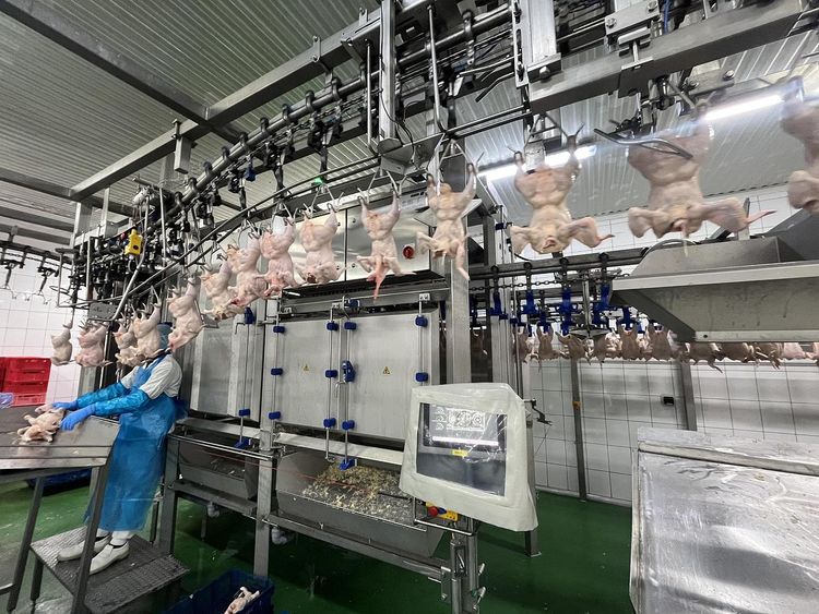 Baader Proflex, Cut-up line