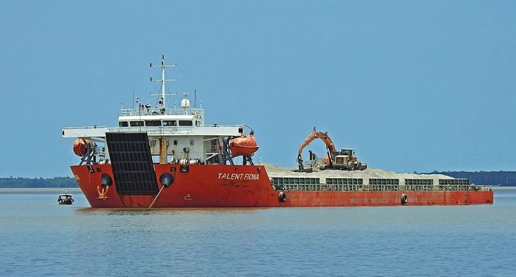 Jiangsu TALENT FIONA