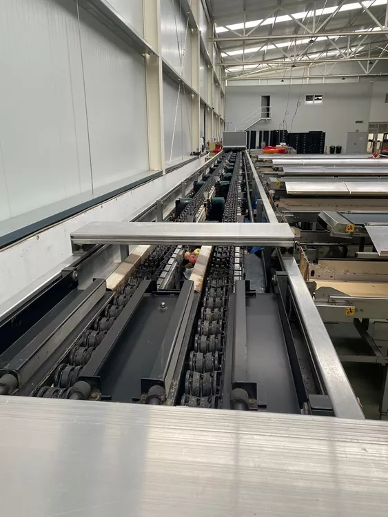 Aweta, Sorting line for kiwi