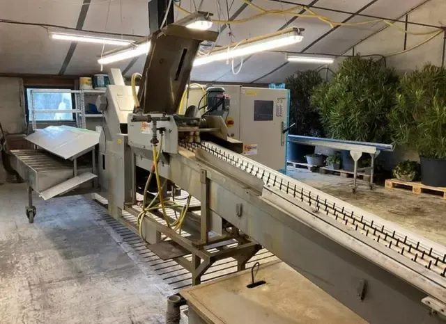 NEUBAUER Espaso S 20 Sorting machine for asparagus