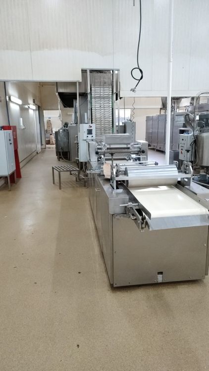 Gemni International Wafer plate line