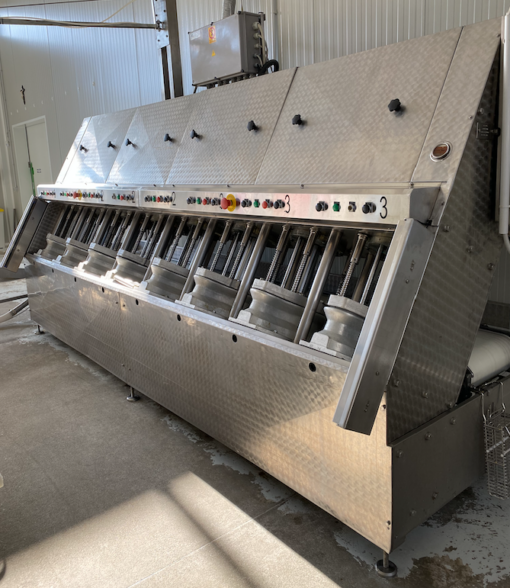 Menozzi Automatic press with 8 molds