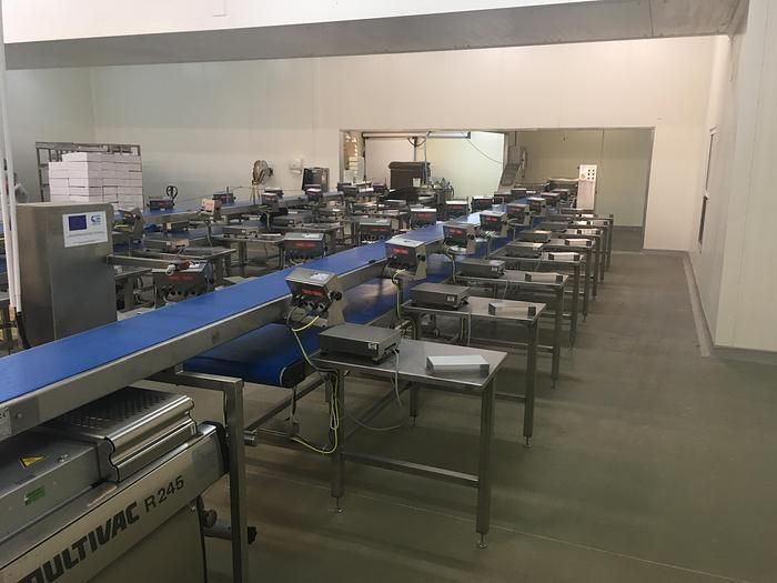 Baader, Carnitech, Fomaco, Multivac Salmon processing line