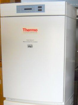 Thermo Forma 3120 Water-Jacketed CO2 Incubator