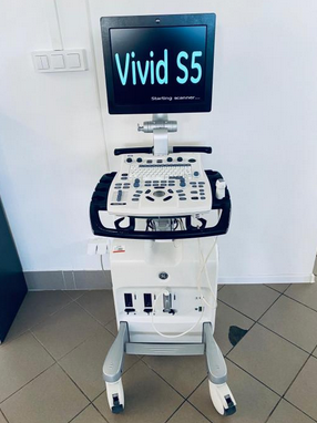 GE Vivid S5 Ultrasound