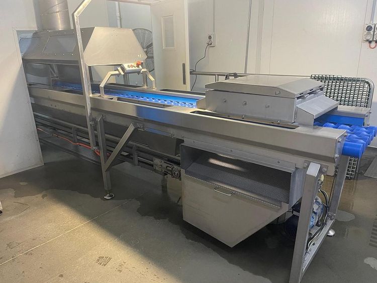 Finis LIFIS AUTO AANV ONION PEELING LINE