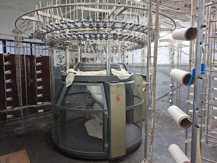 Mayer & Cie RELANIT 1 II 36" 28E