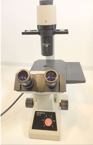 Olympus CK2 Phase Contrast Microscope