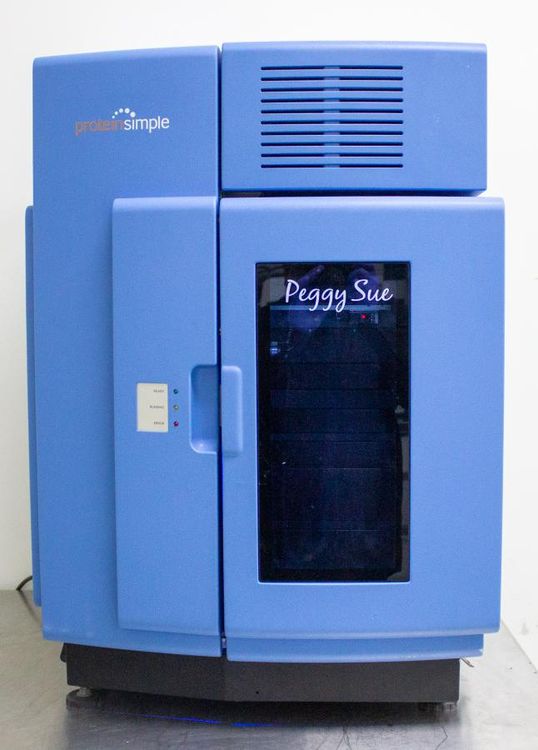 Protein Simple Peggy Sue Automated Western Blot System