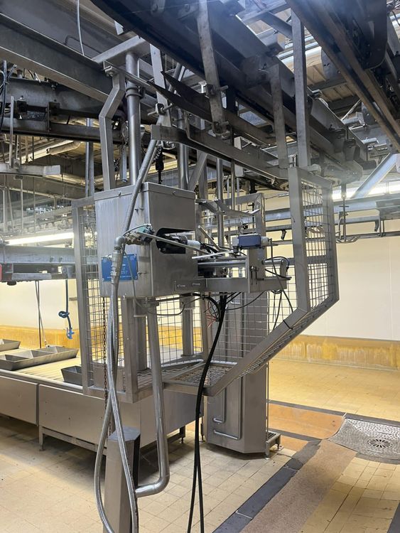 Couédic Madoré, Shoat line