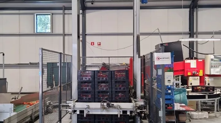 Sorma Palletizer