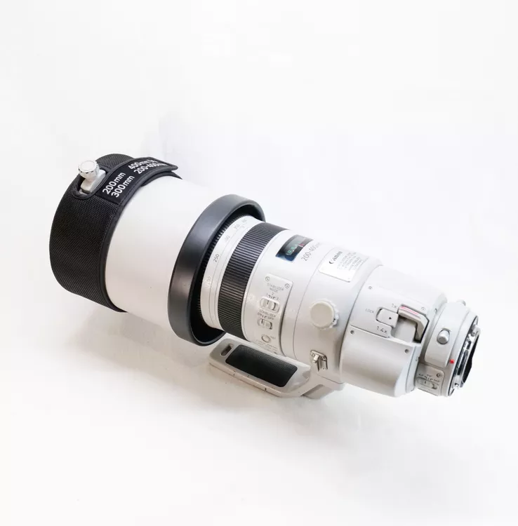 Canon EF 200-400mm f4 L IS USM Internal 1.4x Extender