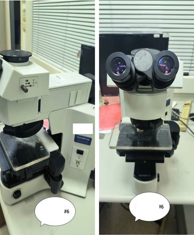 Olympus BX51M