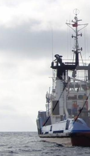 AHTS Vessel 43m / 38ts BP  Gross Tonnage: 495 t
