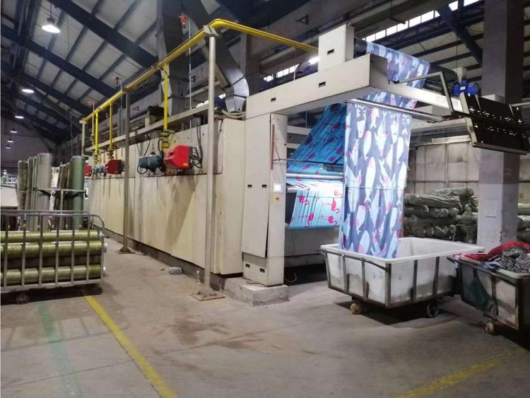 Reggiani Unica 185 Cm Rotary printing