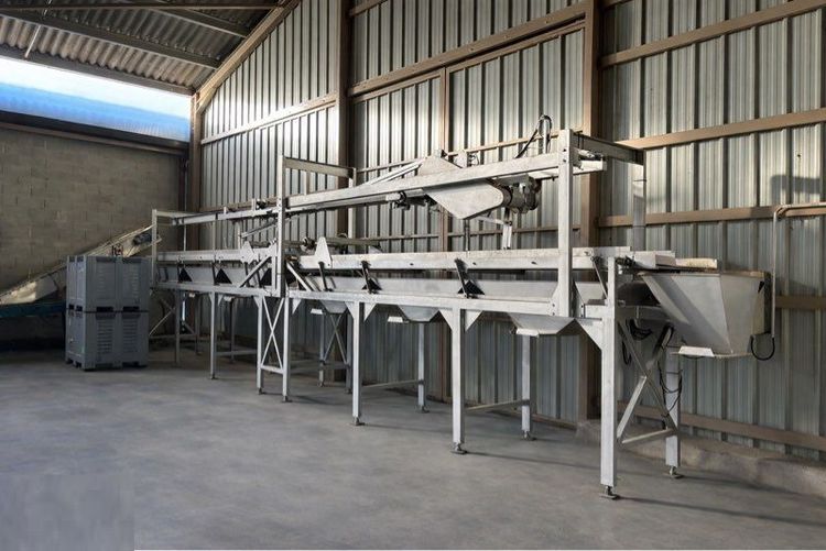 CMV Prune Grader