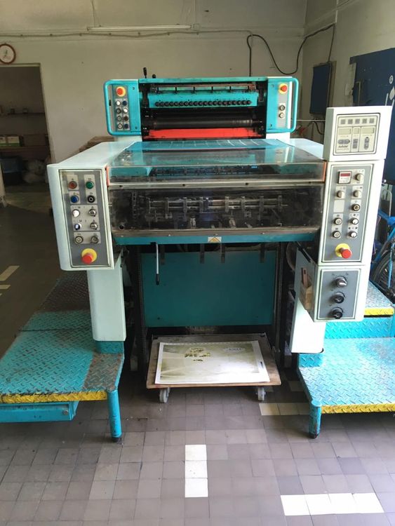 Polly 266 19”x26”