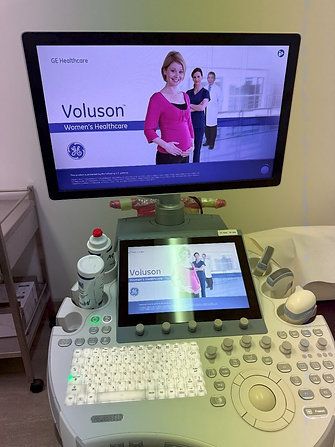 GE Voluson E10