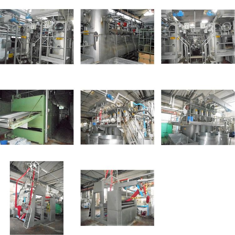 Brazzoli, Caber, Laip Fabric dye house 400 Kg